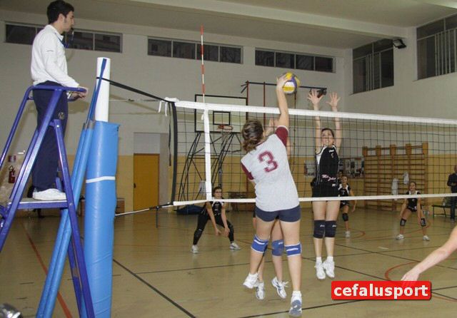 101120_Pomar 125y_tn.jpg